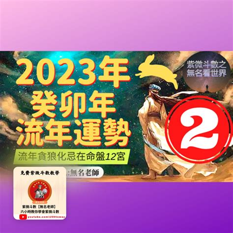 流年貪狼化忌|2025年，乙巳年，紫微斗數流年運勢分析，詳細介。